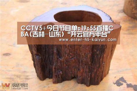 CCTV5+今日节目单:19:55直播CBA(吉林-山东)“开云官方平台”(图1) 开云官网